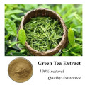 100% Natural for Weight loss 98% polyphenols green tea extract